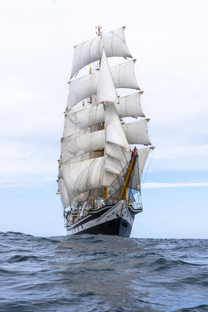 Фотография автора Юрий Масляев