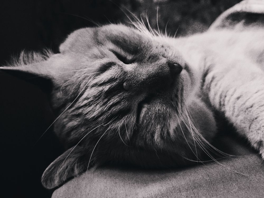 Photograph by Ирина Половцева