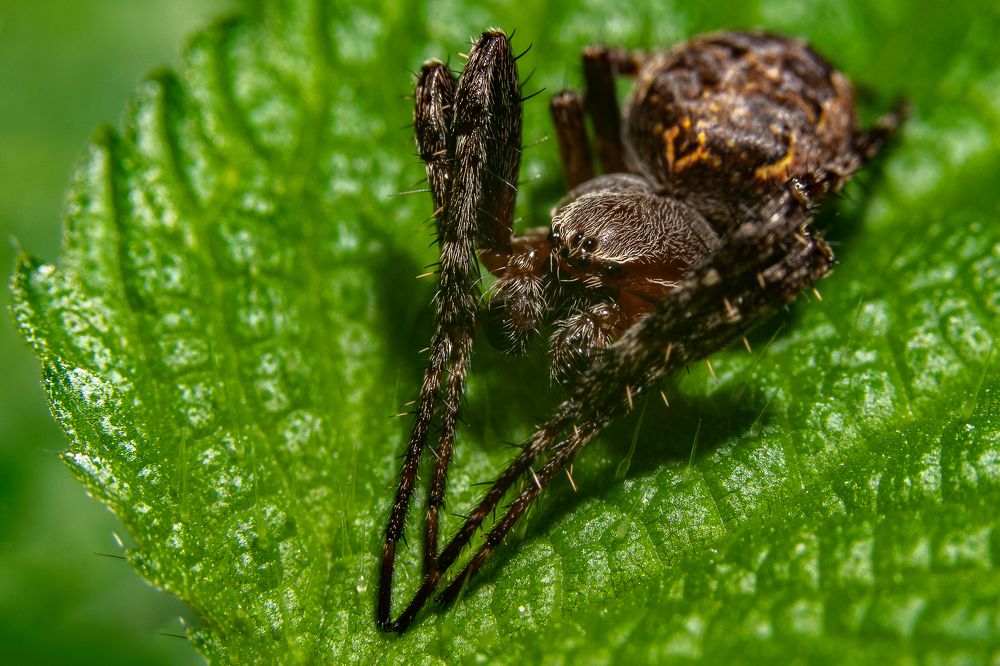 Photograph by Александр Горский