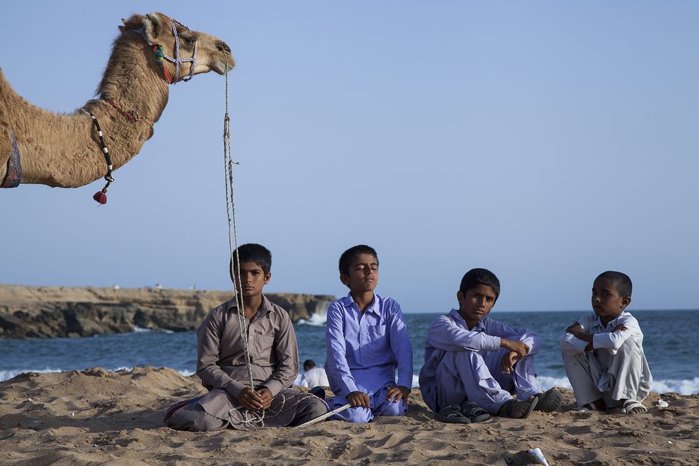 Фотография автора Ershad Mazloomi