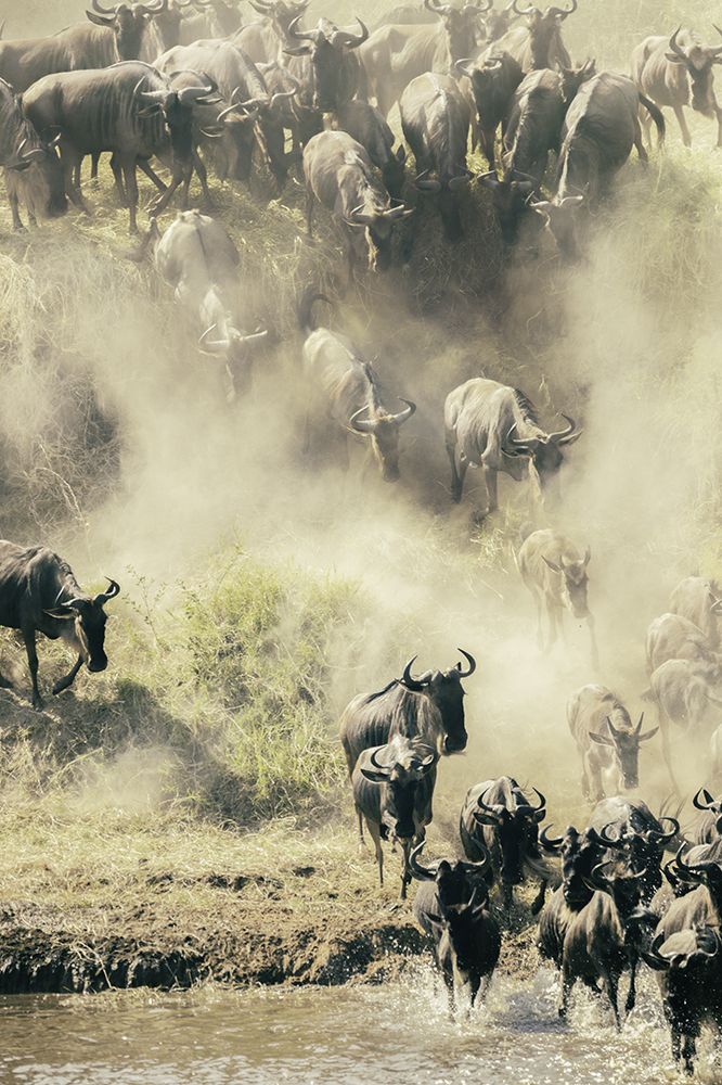 Photograph by Soumen Ghosh