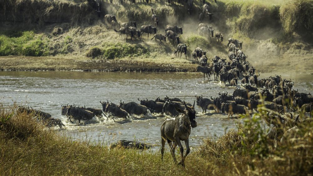 Photograph by Soumen Ghosh