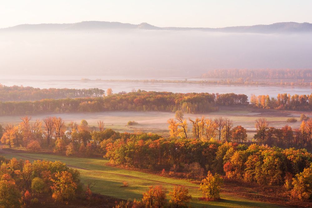 Фотография автора Алексей Проняхин