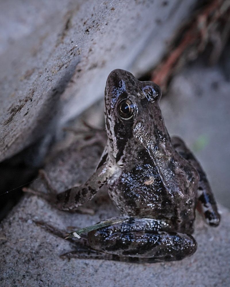 Photograph by Татьяна Гринько