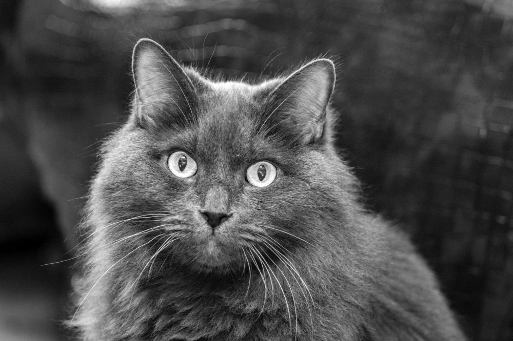 Photograph by Сергей