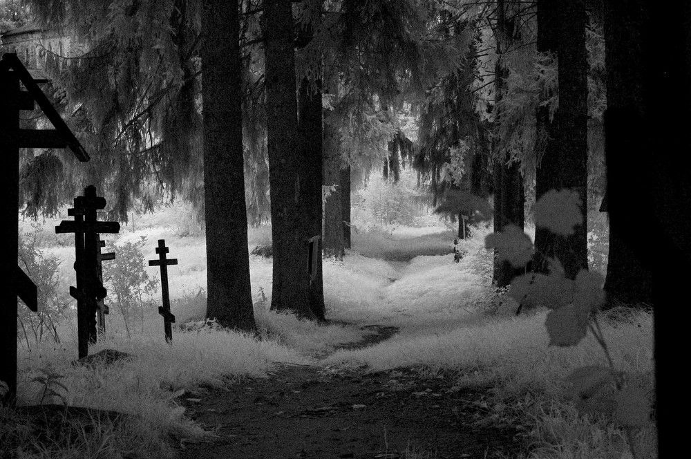 Летний день Монастырский погост. Тропа в безвременье. ( инфракрасная фотография).   фотография).