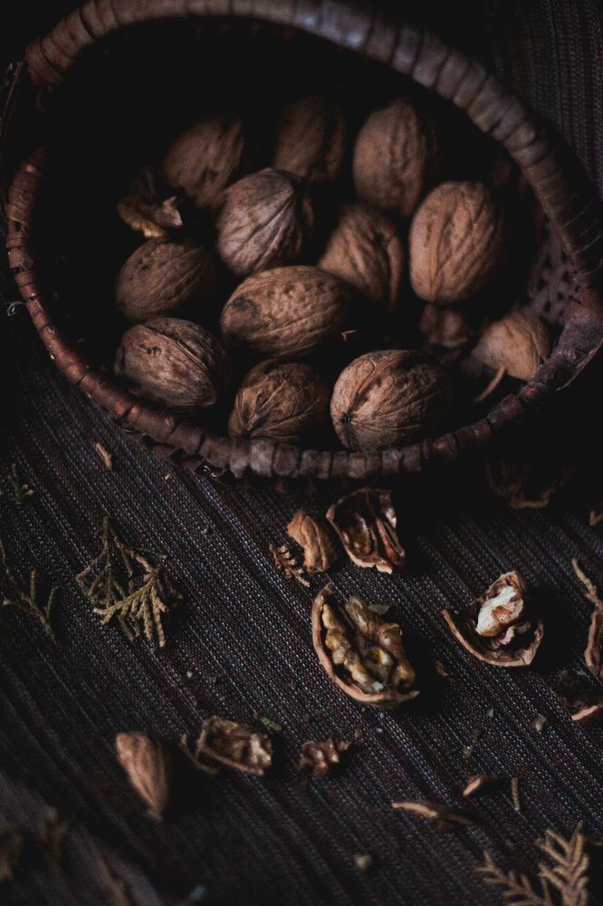 Photograph by Jana Vukomanovic