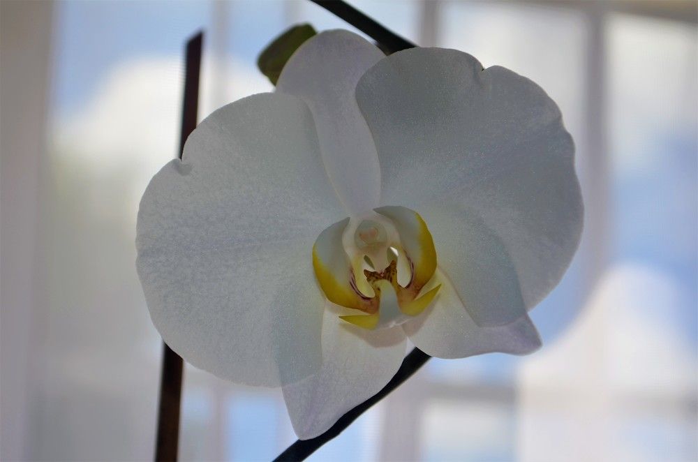 Photograph by Тамара Павлова