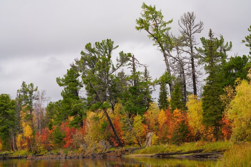 Фотография автора Виктория Ким