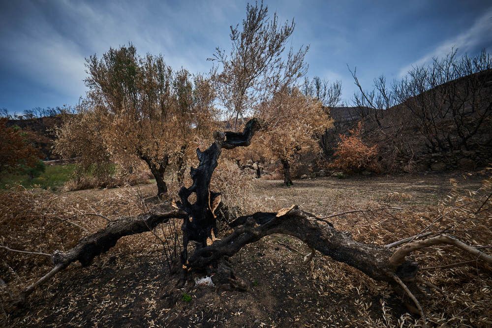 Photograph by Ivo Veljanov