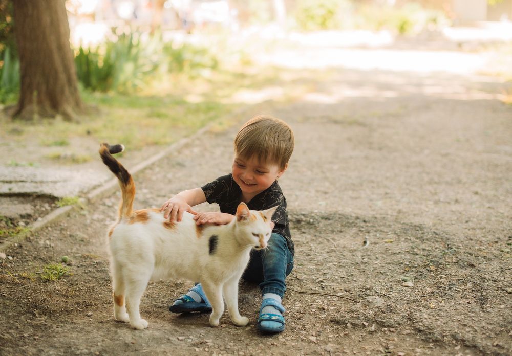 Photograph by Юлия Мошенко