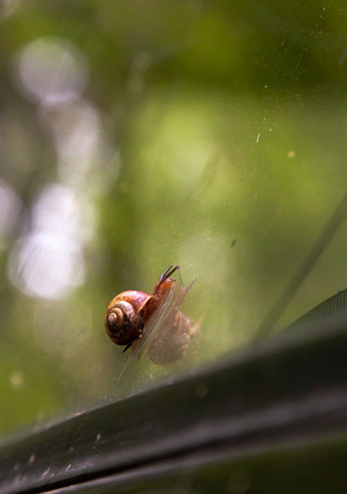 Photograph by Кирилл Митрошкин