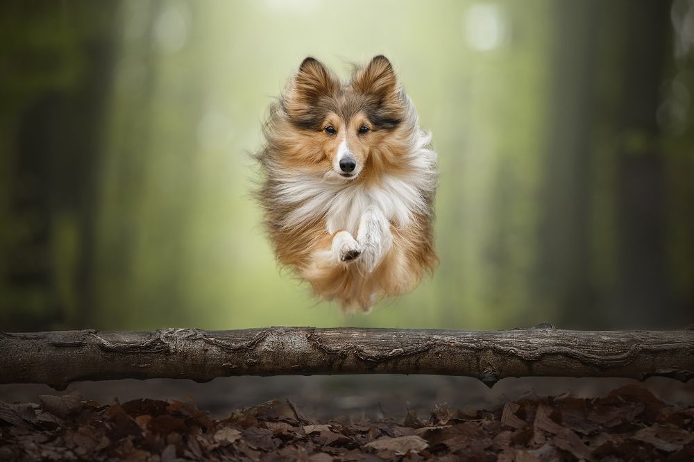 Фотография автора Lucile Novène