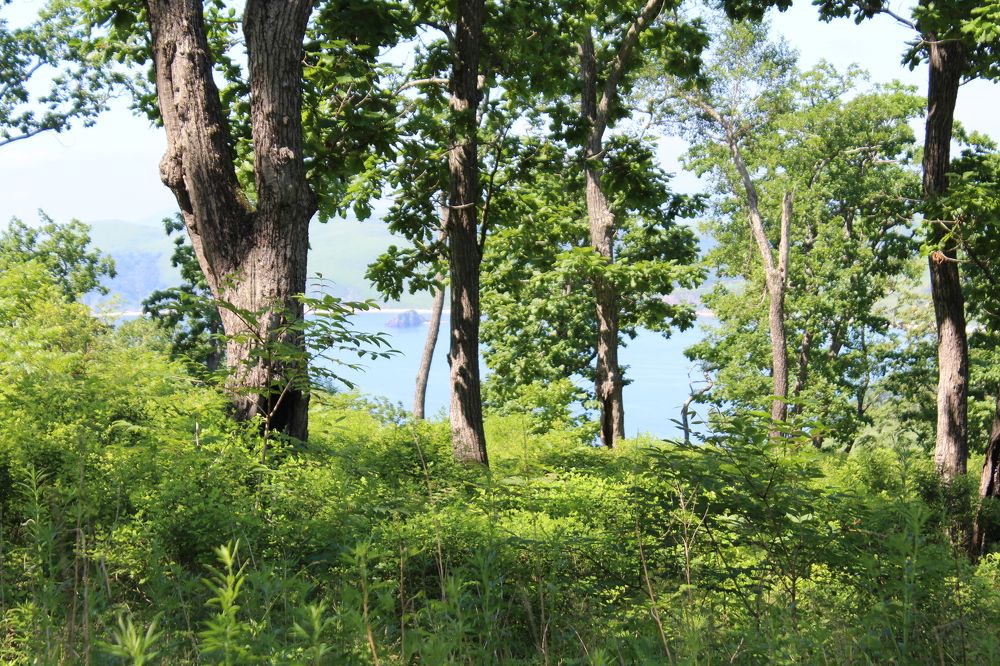 Photograph by  Людмила