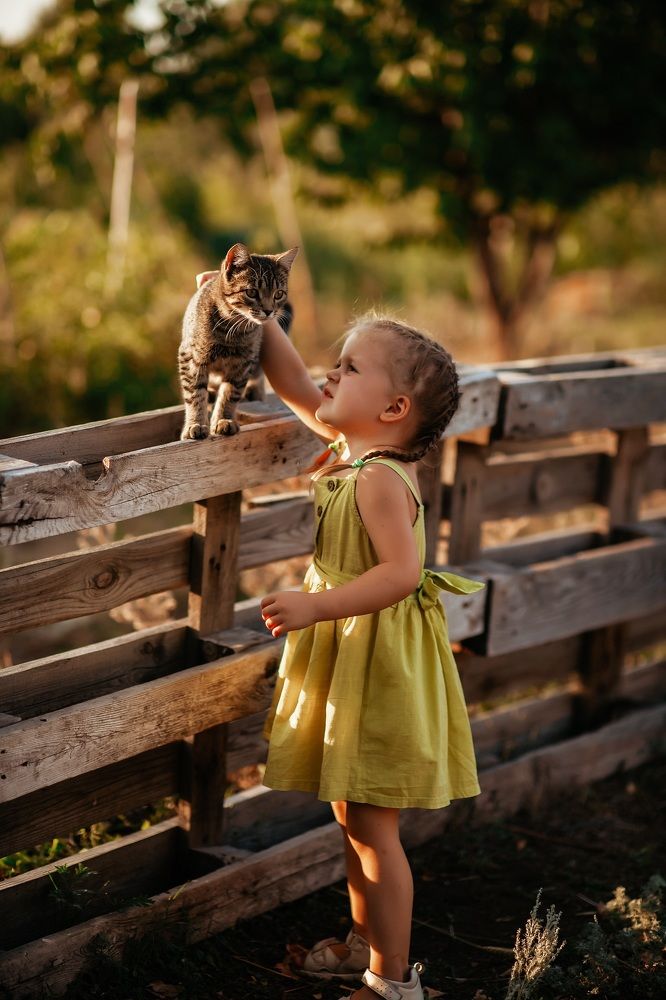 Мой друг, живущий у бабушки в деревне