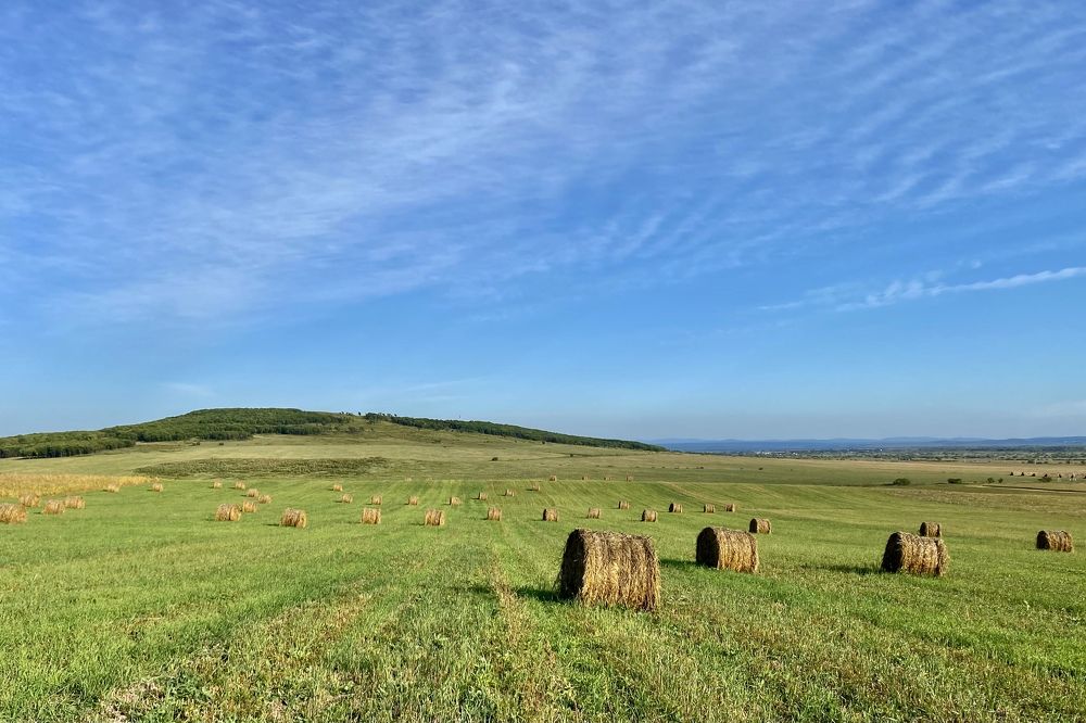 Photograph by Олег Волков