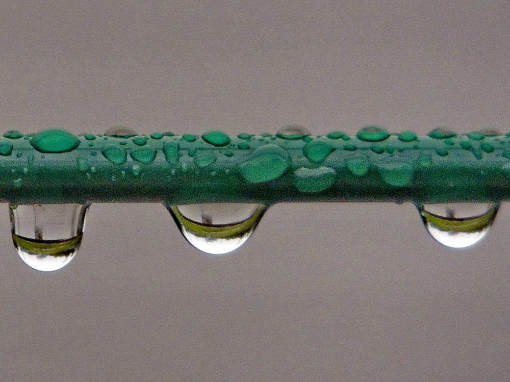 Photograph by Николай Николаевич Леухин