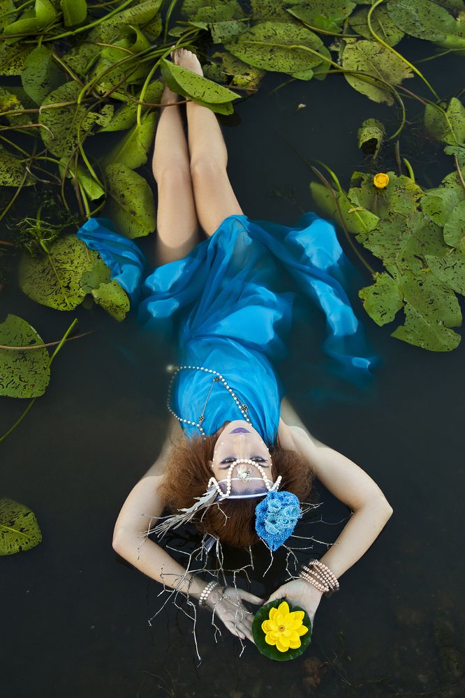 красота во всем