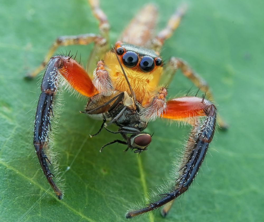 Photograph by TIAN CHING TAN