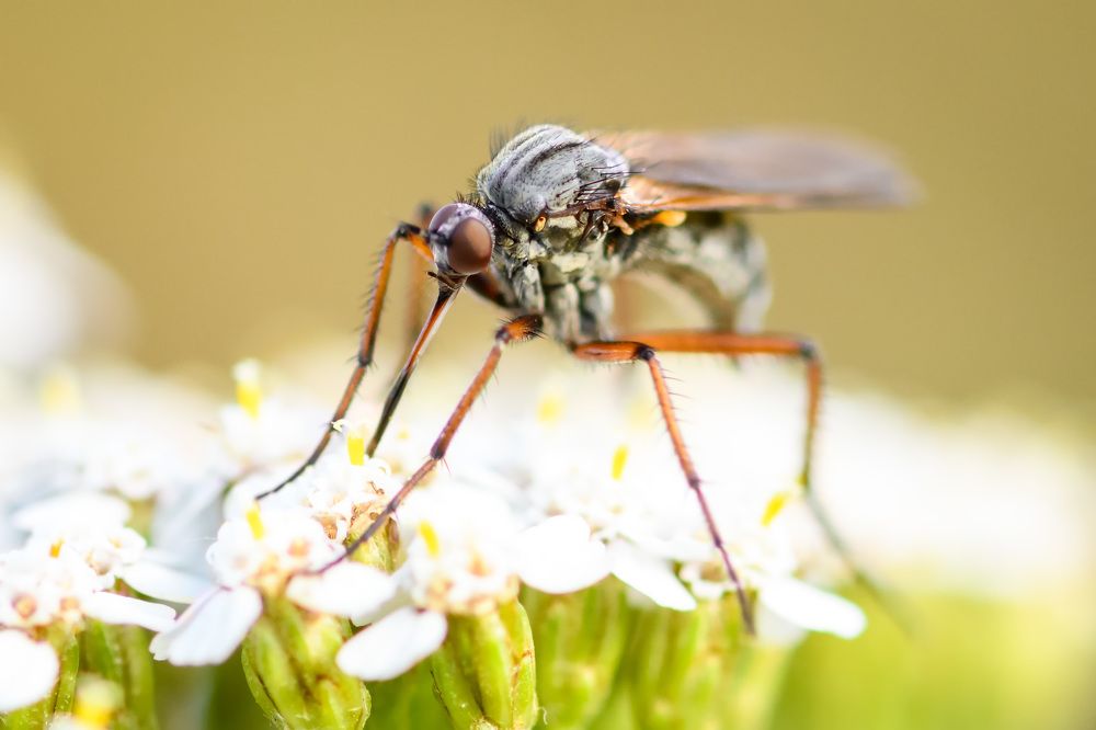 Photograph by Андрей Захаров