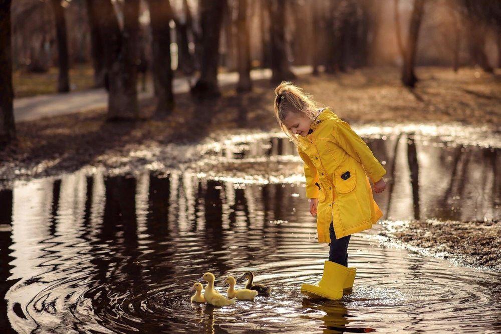 Photograph by Лариса Рачкова