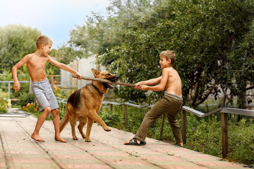 Photograph by Ольга Дружная