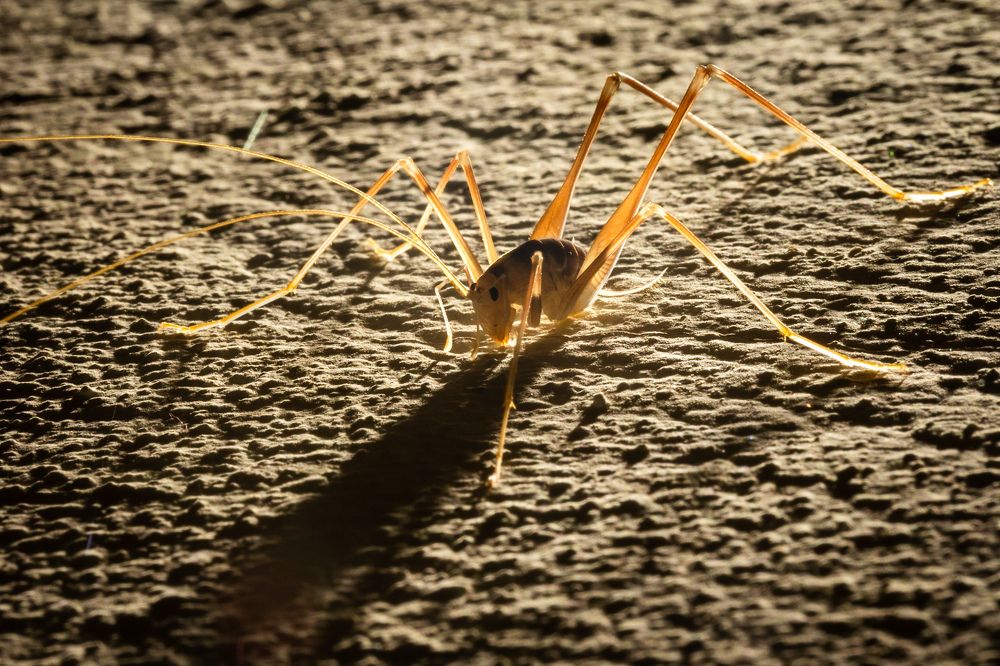 Photograph by Mladen Dizdar