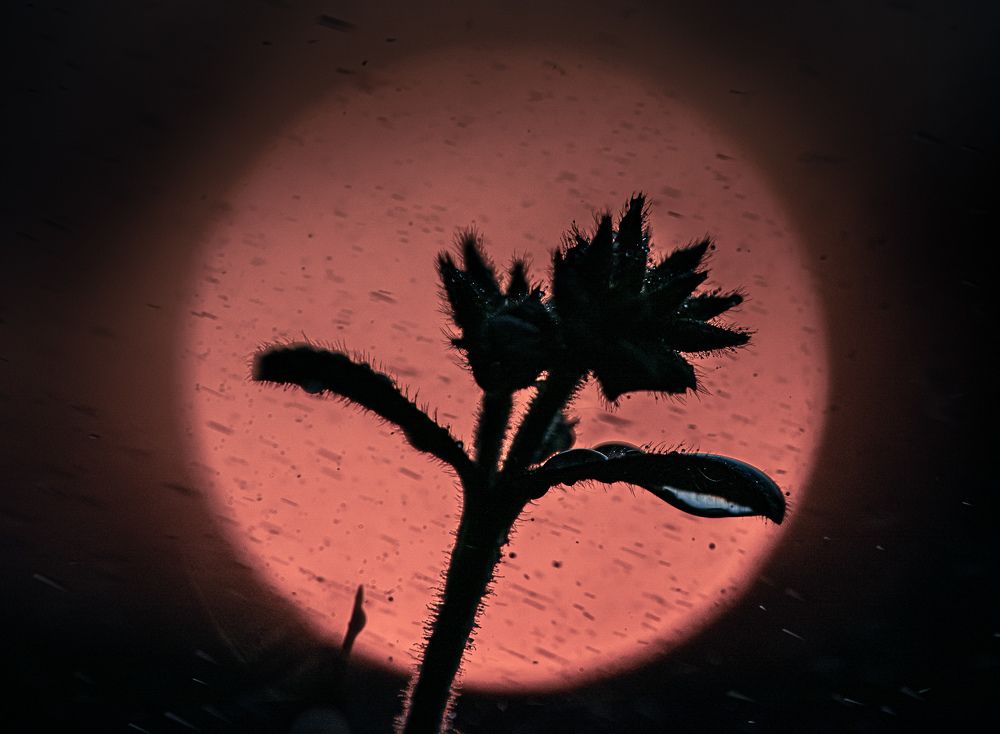 Photograph by Mladen Dizdar