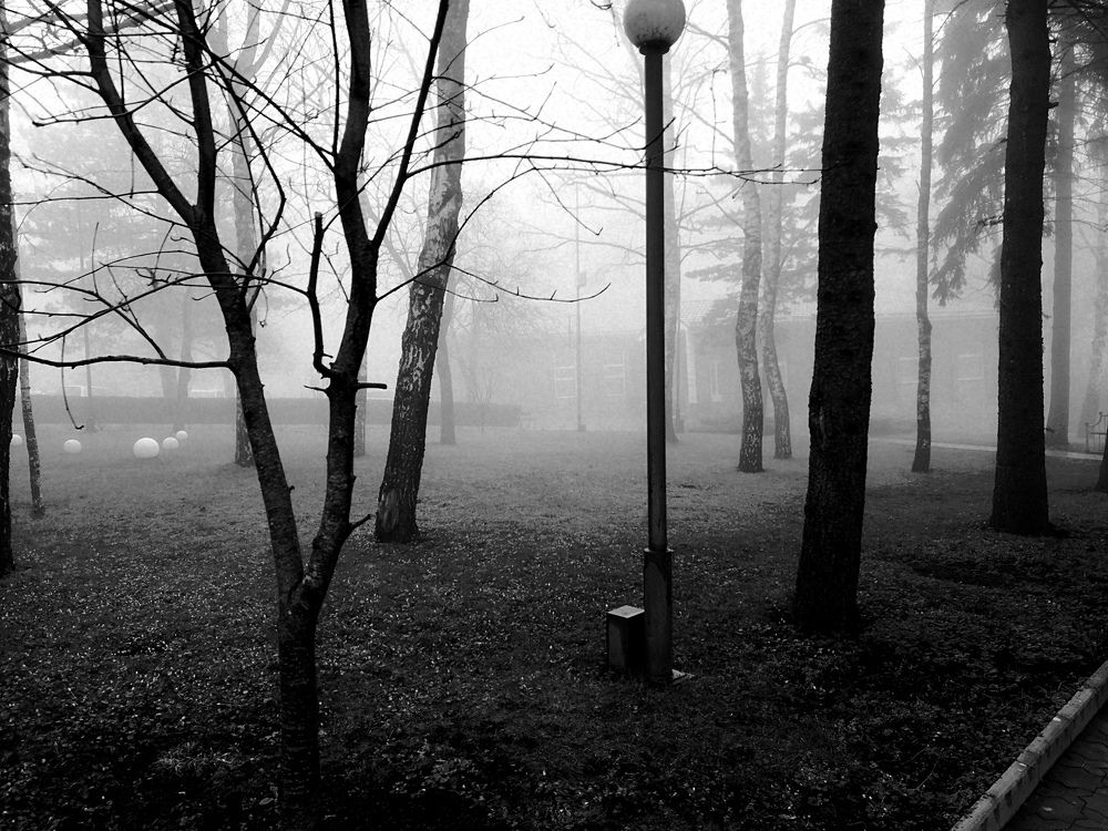 Photograph by Ярослав Лемешев