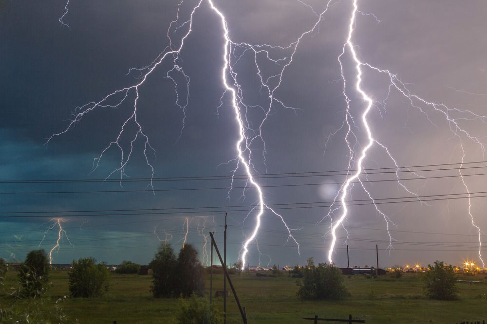 Ночная гостья