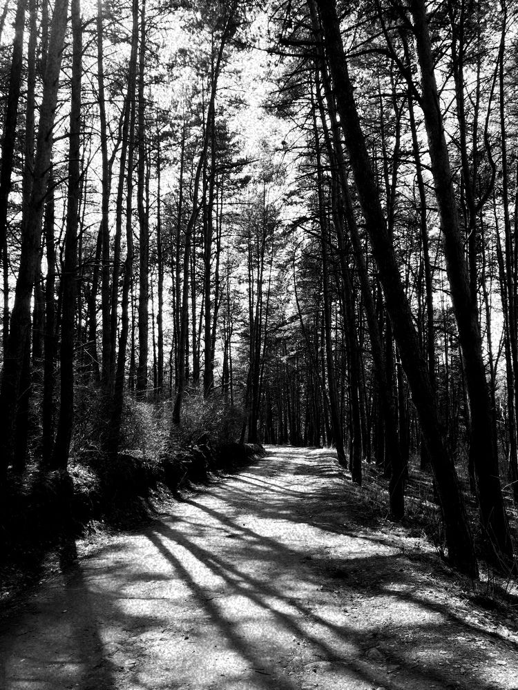 Photo #6500578