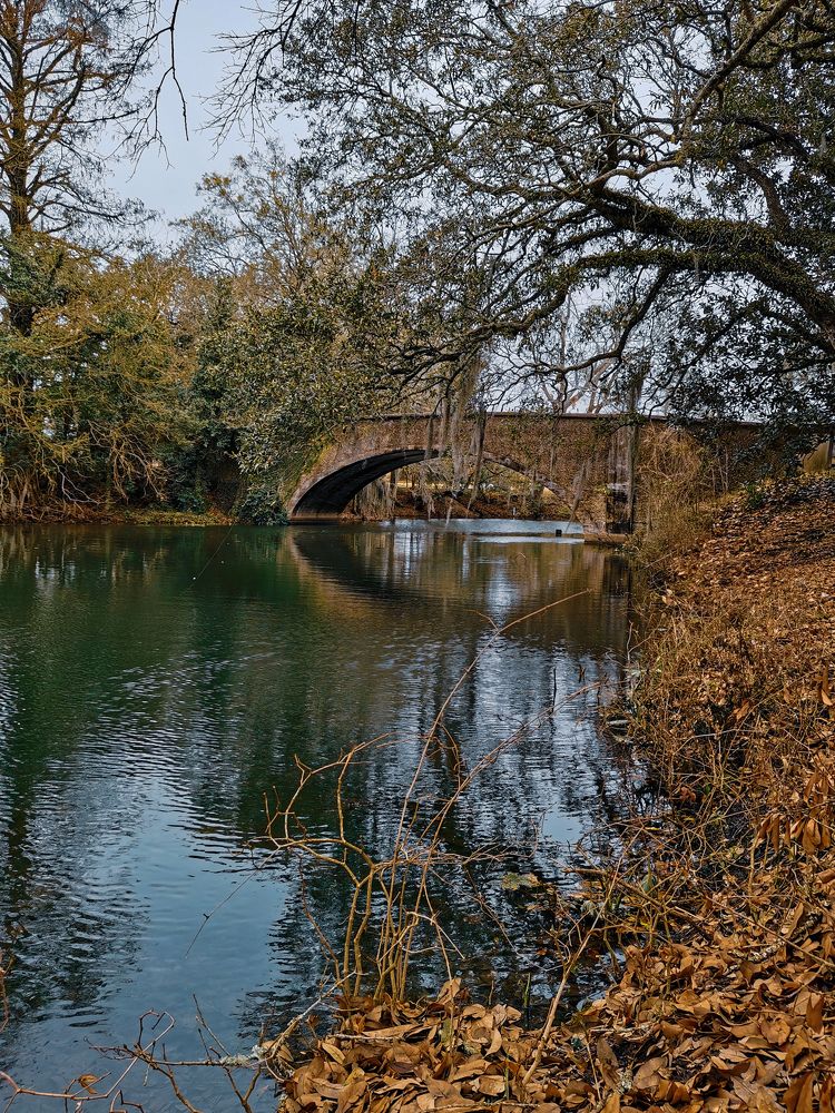Photograph by Виктория Федосеенко