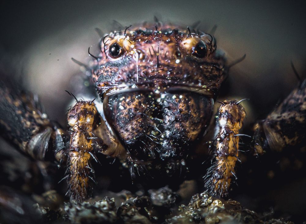 Photograph by Юлия Шматова