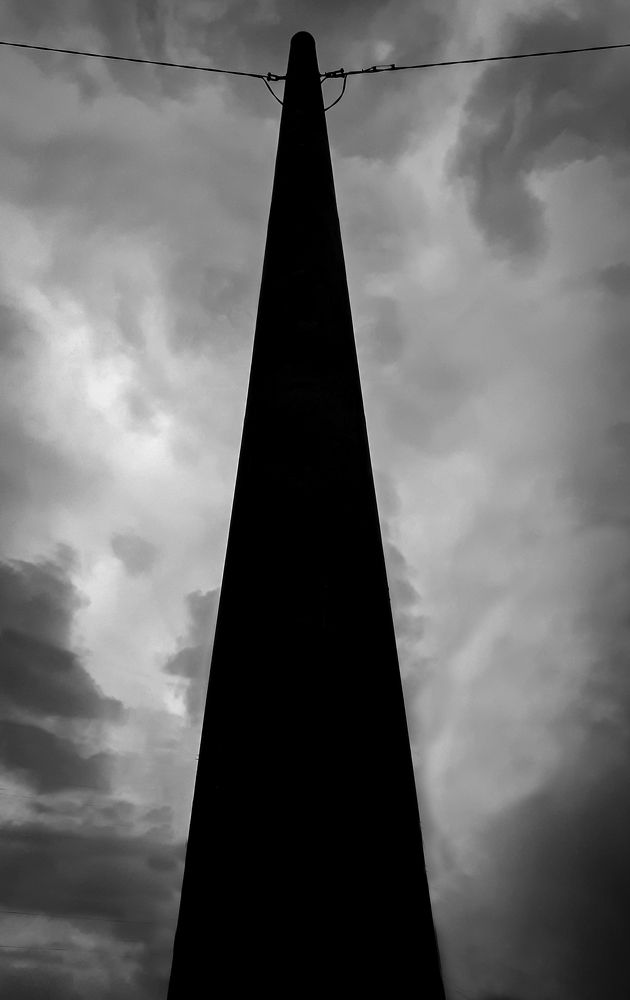 Standing in the dust