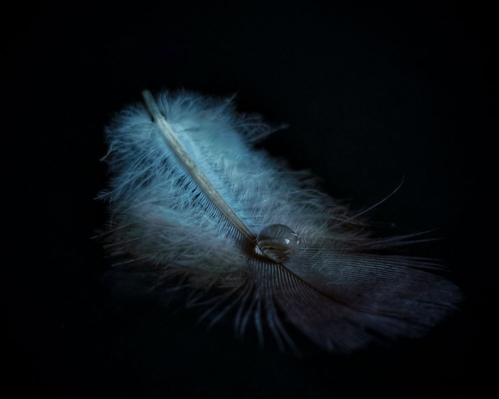 Photograph by Алексей Копылов