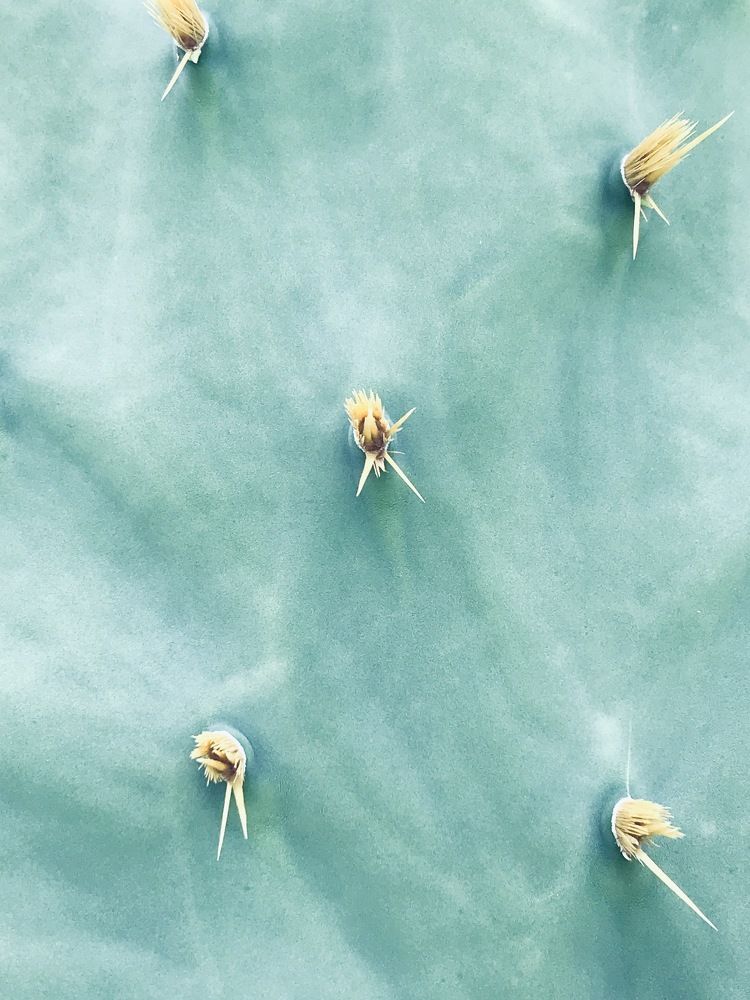 Photograph by Deasy Junita Dhani Hidayana