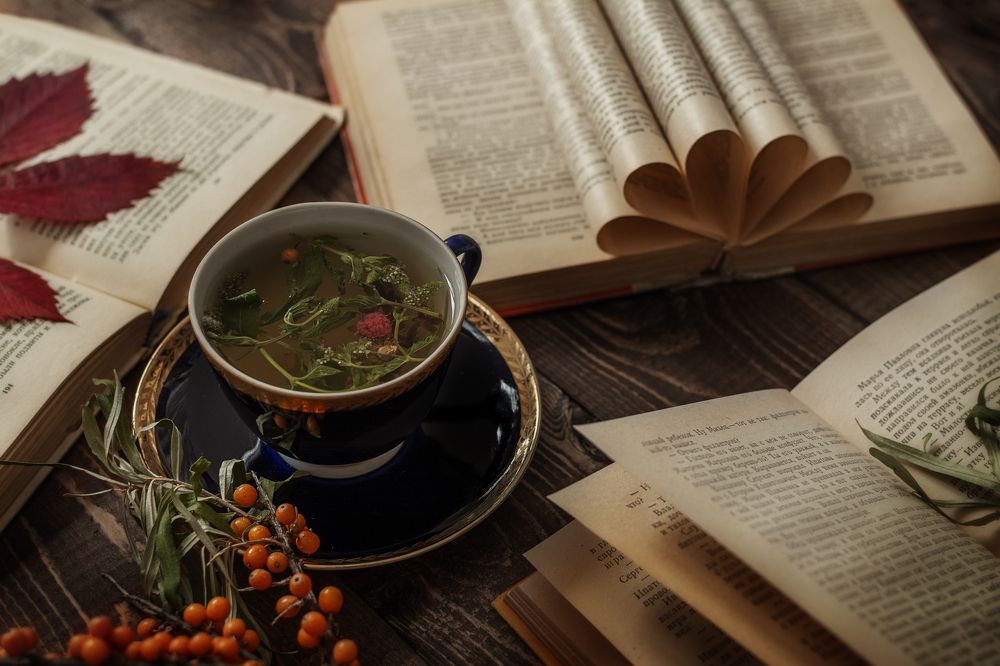 Photograph by Ольга Серова