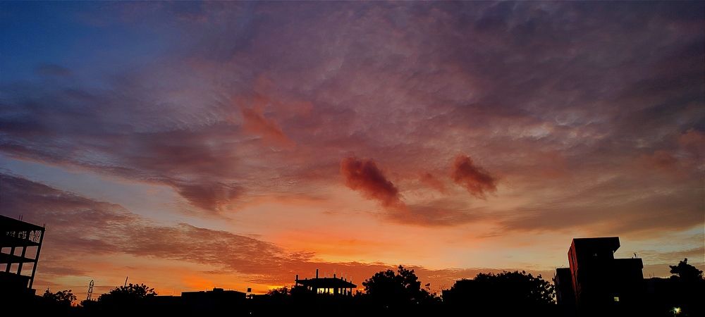 Photograph by Pankaj Kumar