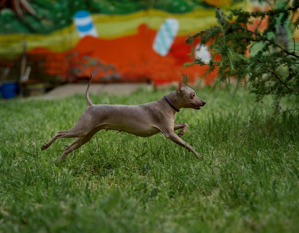 Photograph by Коптилина Галина