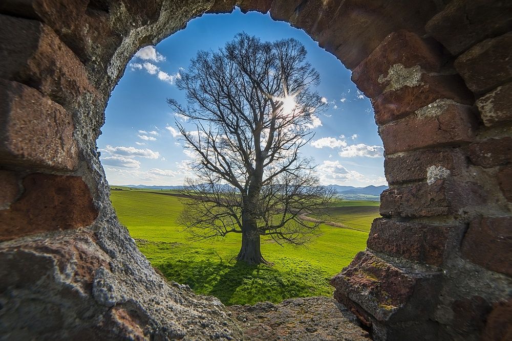 Photograph by Radim Ziman