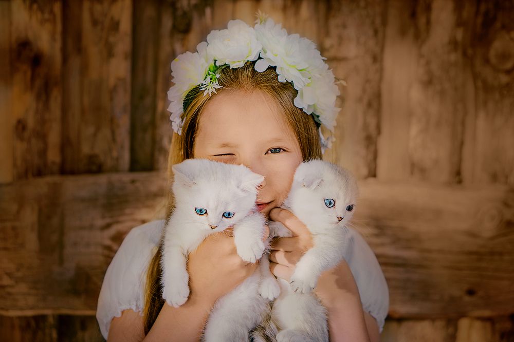 Фотография автора Елена Самофалова