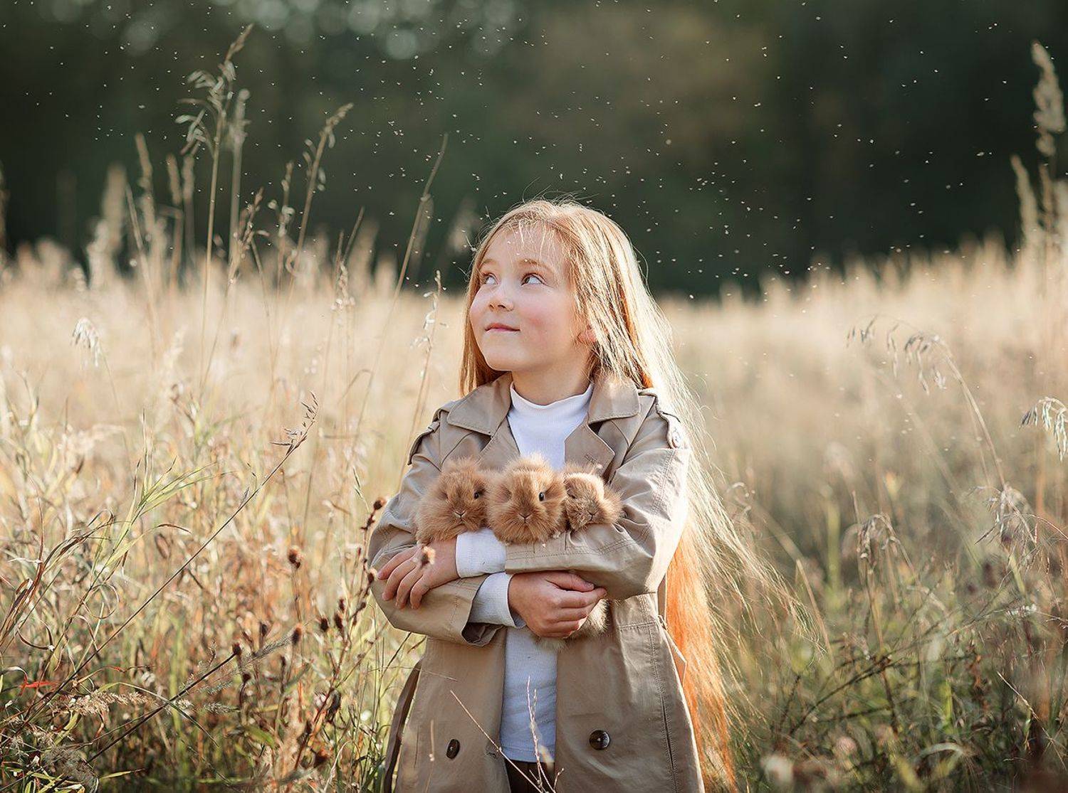 Фотография #6500917