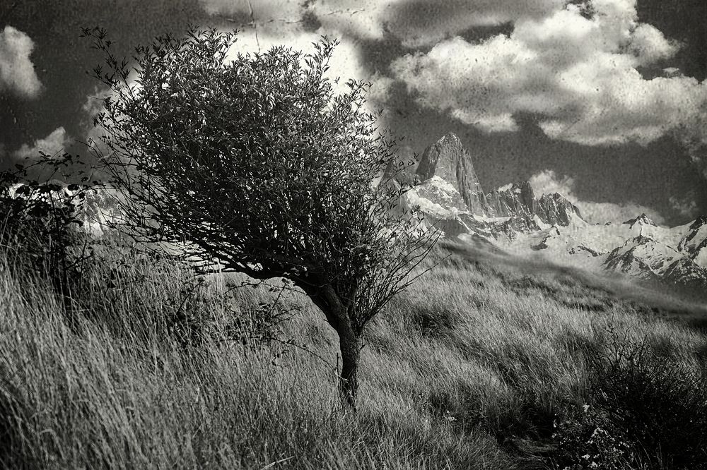 Photograph by Iwona Suwala