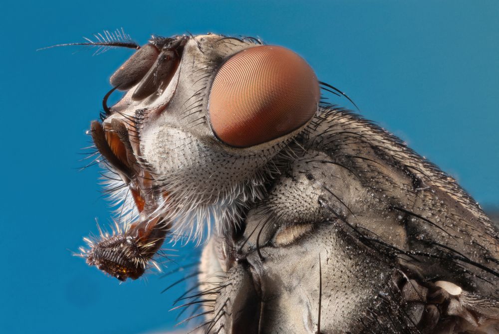 Photograph by Shams Vida