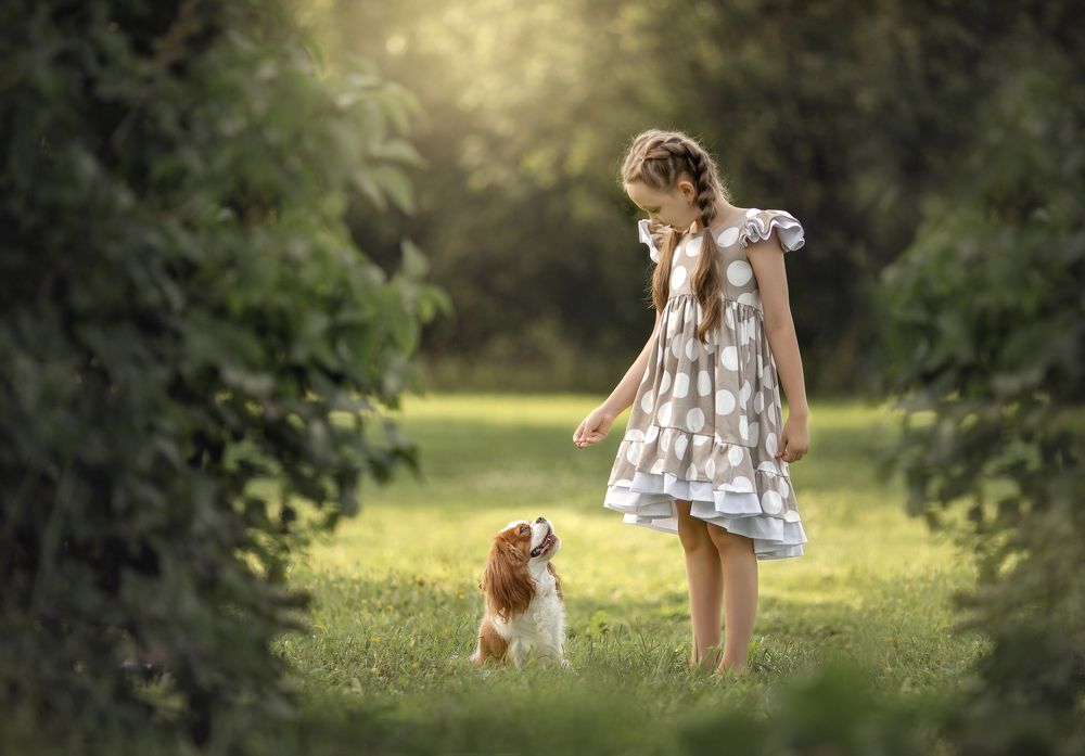 Photograph by Татьяна Кауфман