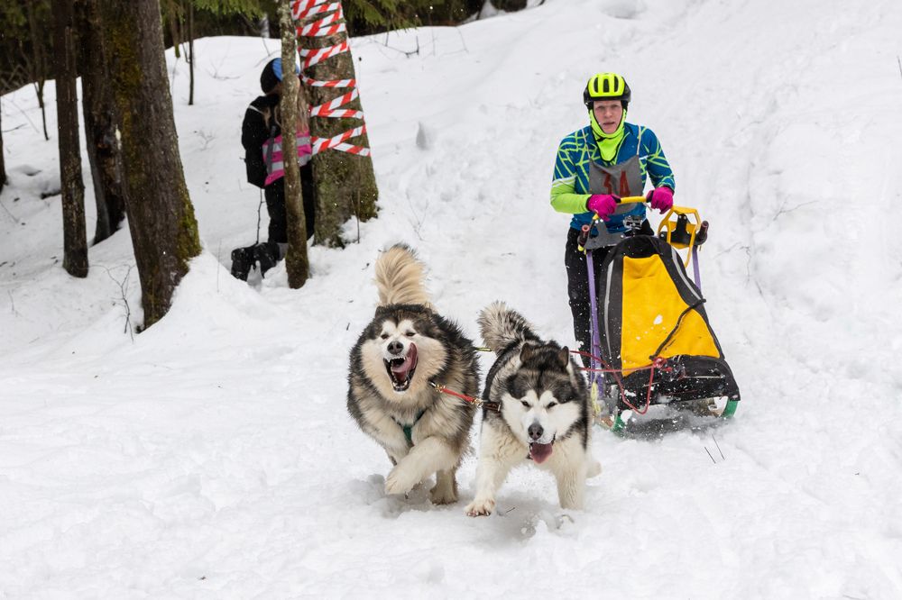 Photograph by Илья Юфа