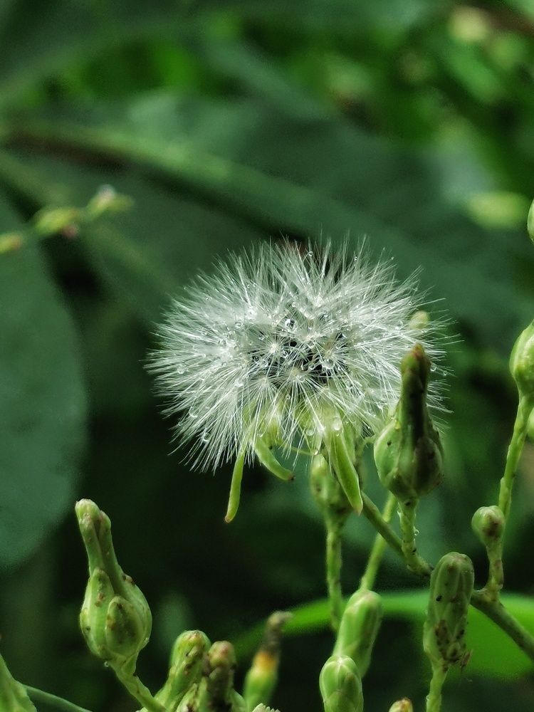 Photograph by Yae Er