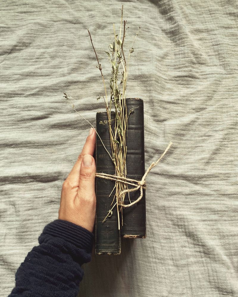 Photograph by Виктория Лаур