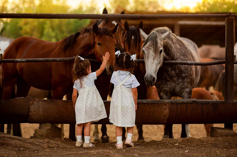 Photograph by Эля Булыгина