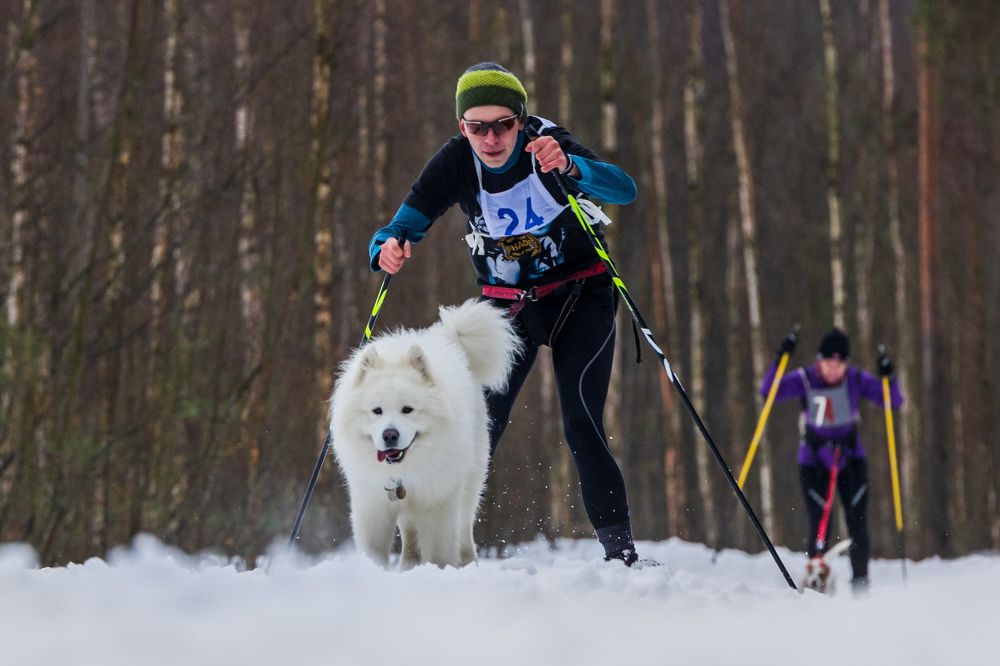 Photograph by Илья Юфа